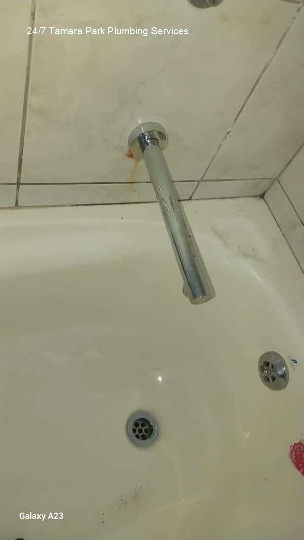 24/7 Tamara Park plumbing services â€“ same day 24/7 plumber, focusing on fast response times, framed as a sales pitch, delivering expert plumbing repairs and installations for domestic houses with solar company support.