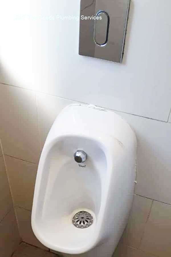 24/7 The Reeds plumbing services â€“ affordable 24/7 plumbers, highlighting technical reliability, crafted as a bold statement, delivering expert plumbing repairs and installations for domestic houses with solar company support.