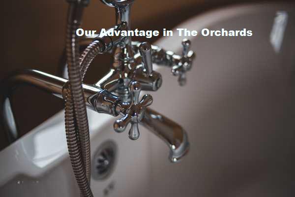 Free call out and no hidden charges is what we specialise in the The Orchards area.