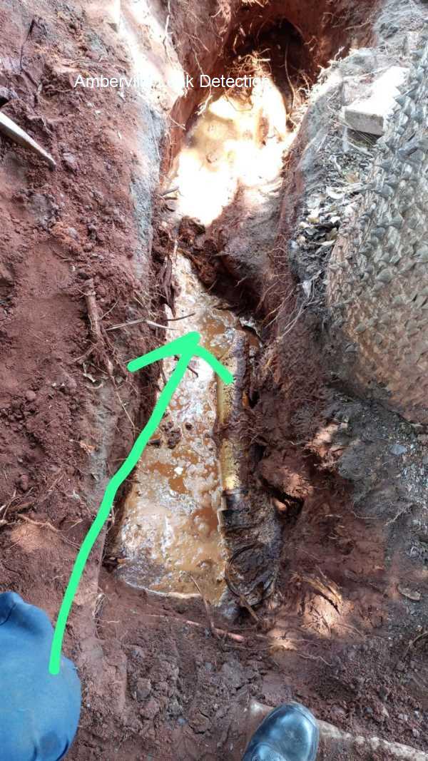 Amberville Leak detection