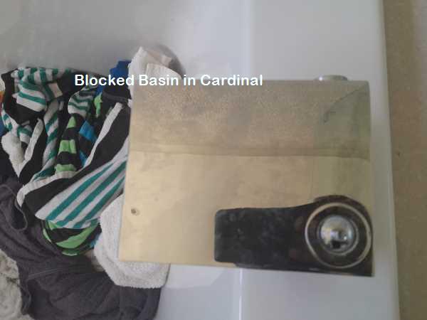 Cardinal blocked basin cleaning