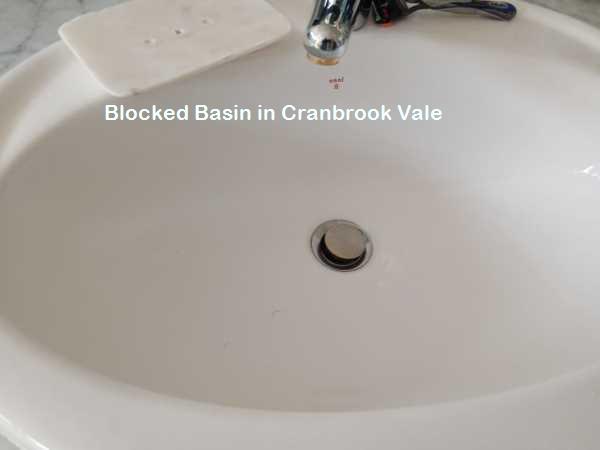 Cranbrook Vale blocked basin cleaning
