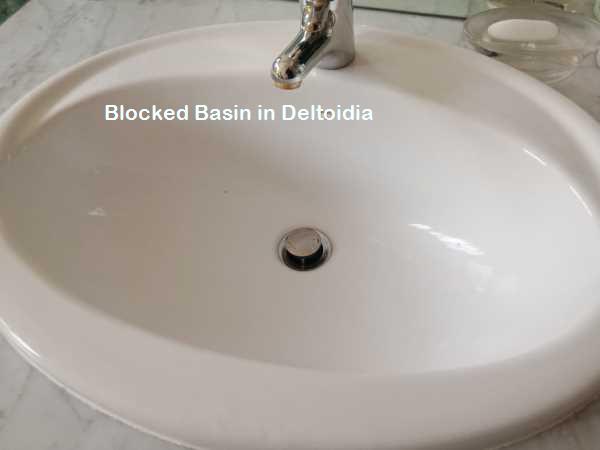 Deltoidia blocked basin cleaning