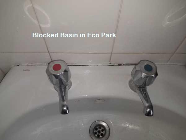 Eco Park blocked basin cleaning