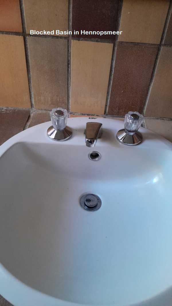 Hennopsmeer blocked basin cleaning