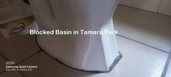 Tamara Park blocked basin cleaning
