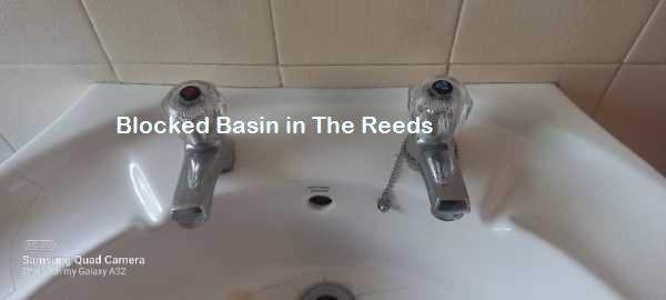 The Reeds blocked basin cleaning