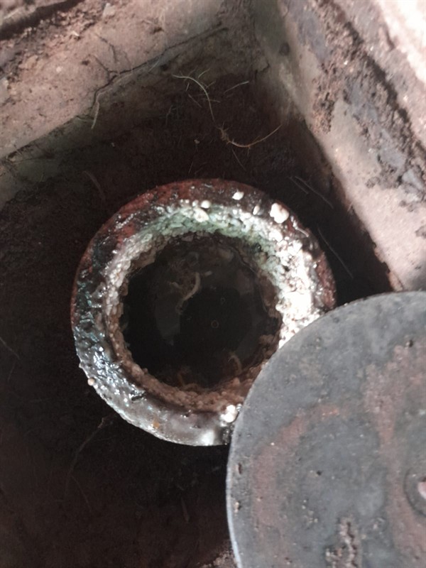 Drain with no more backups