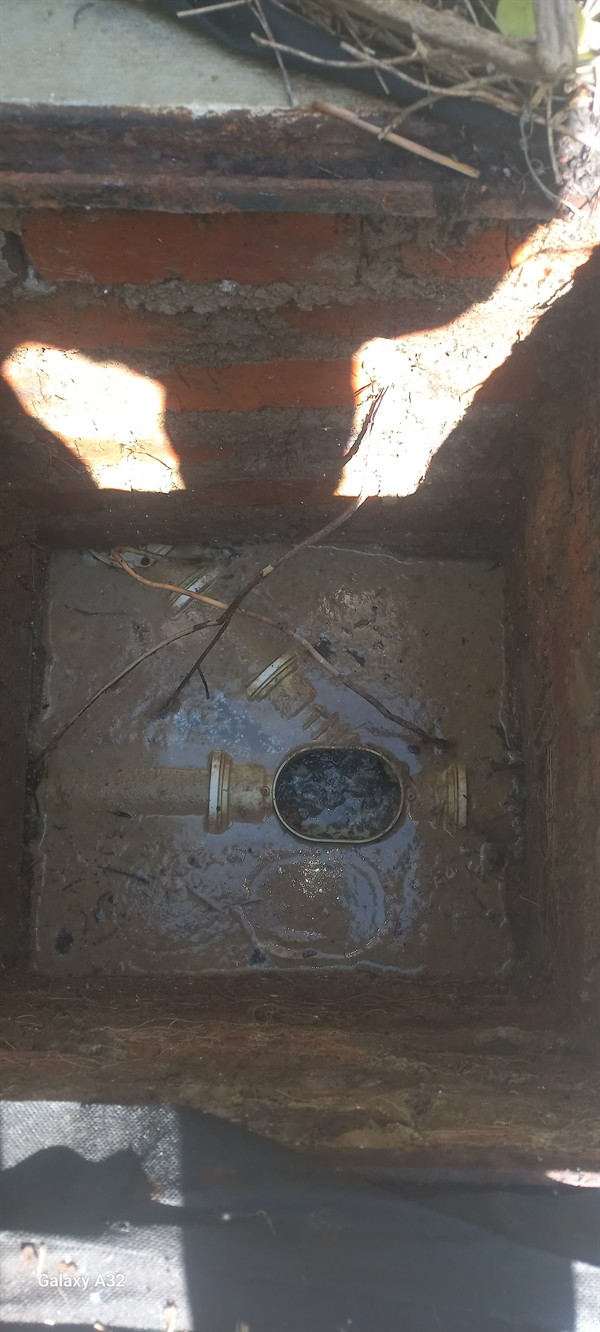 Outdoor drain pipe blocked with leaves and dirt
