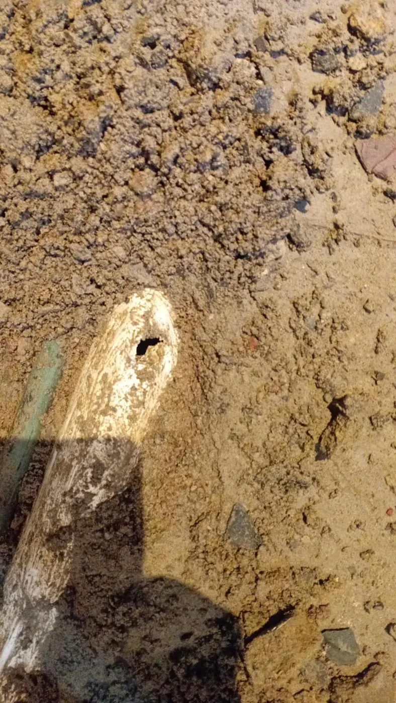 Tree root intrusion removed from a blocked underground drainage pipe