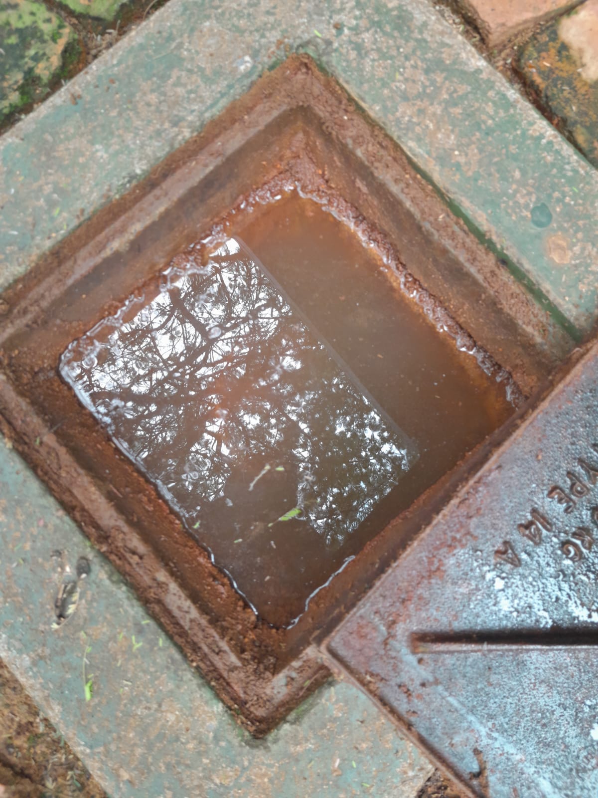 Blocked outdoor drain in Spartan filled with dirty standing water inside inspection chamber, indicating drainage blockage before professional drain cleaning and maintenance.