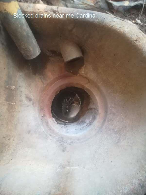 Blocked drains near me Cardinal