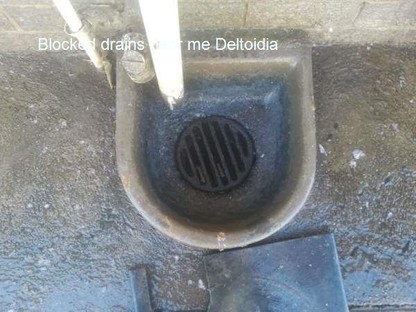 Blocked drains near me Deltoidia