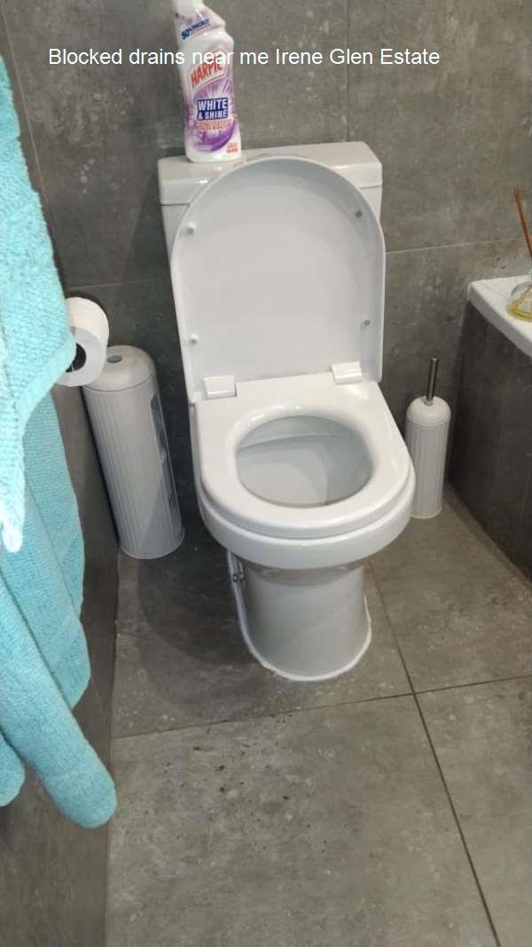 Blocked drains near me Irene Glen Estate