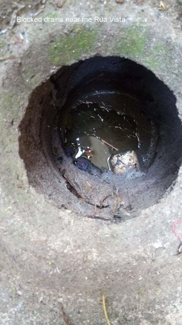 Blocked drains near me Rua Vista
