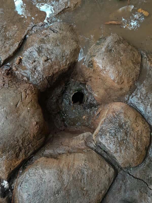 Persistent clog in sewer line during cleaning