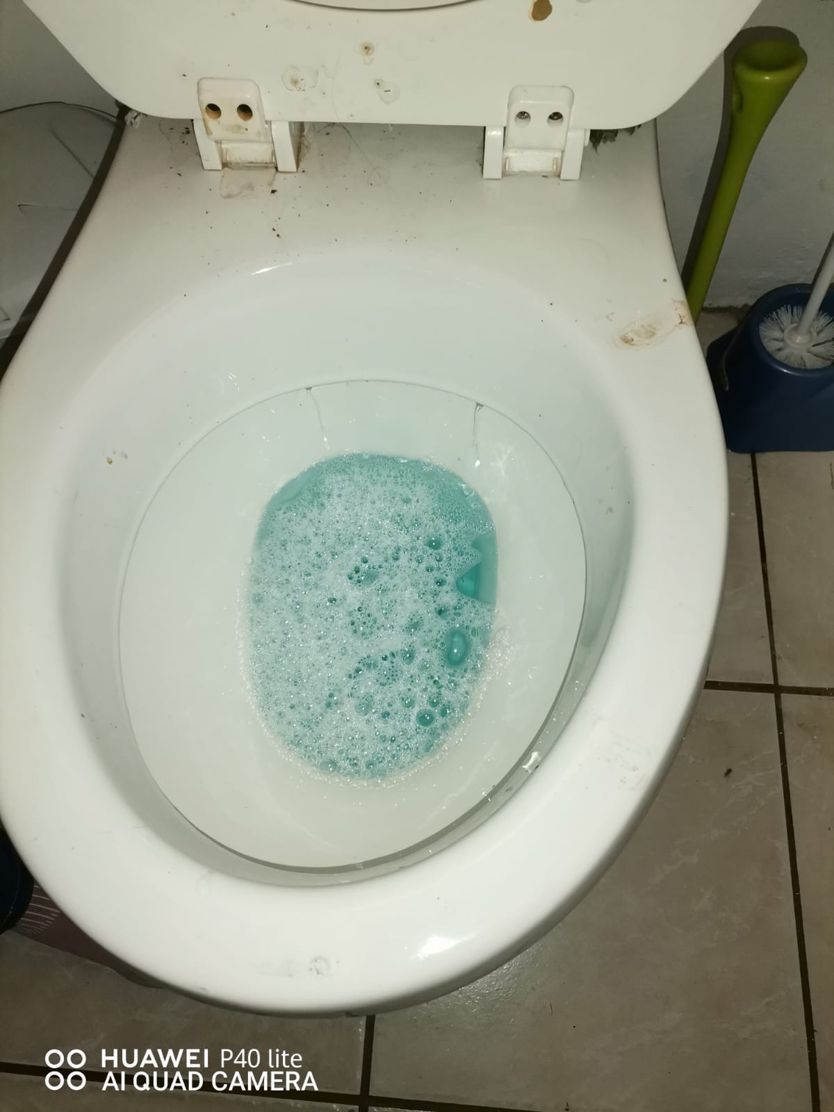Blocked toilet in Dinwiddie with blue cleaning solution in bowl during drain clearing, showing bathroom toilet requiring cleaning and blockage removal to restore proper flushing and drainage.