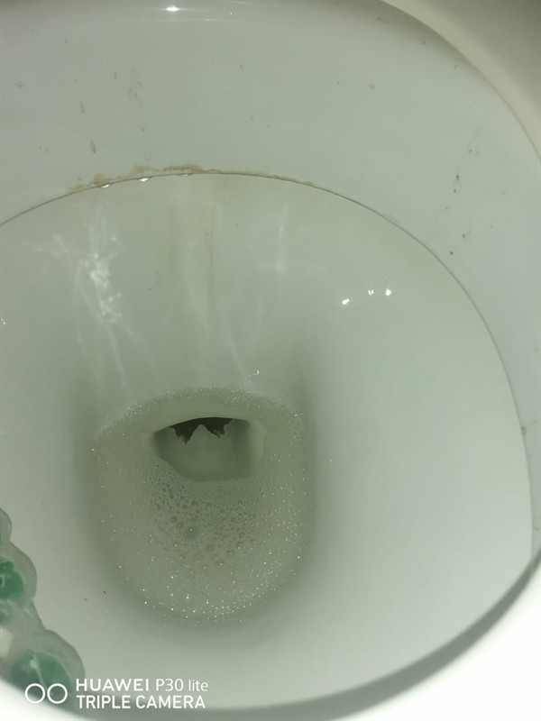 Reliable toilet fix after clearing blockage