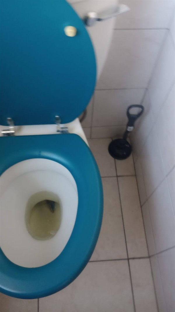 Flushing fully fixed after toilet repair
