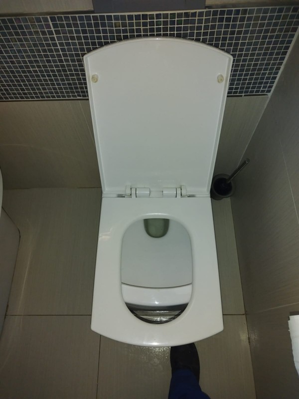 Sludge build-up in blocked toilet