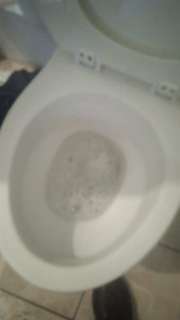 Final toilet fix completed