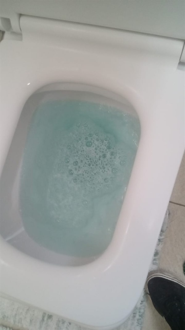 Blocked toilet trap with debris visible