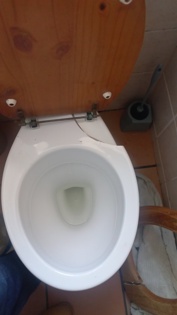 Clearing blockage from toilet