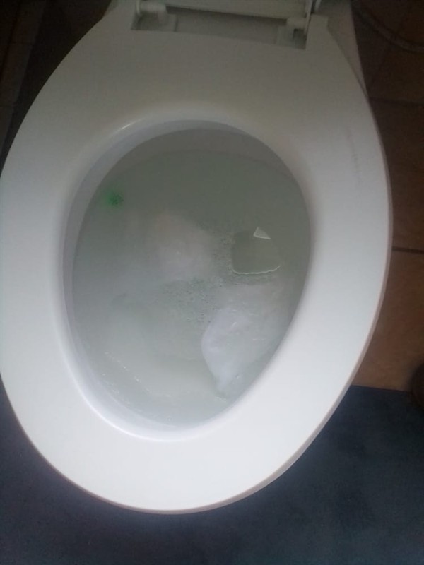 Technician working on blocked toilet