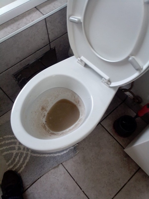 Slow flushing toilet with waste backing up