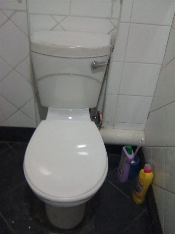 Blocked toilet trap with debris visible