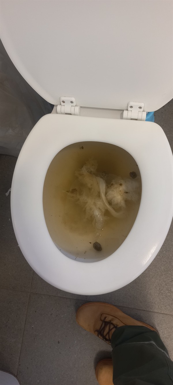 Completely blocked toilet with waste not flushing