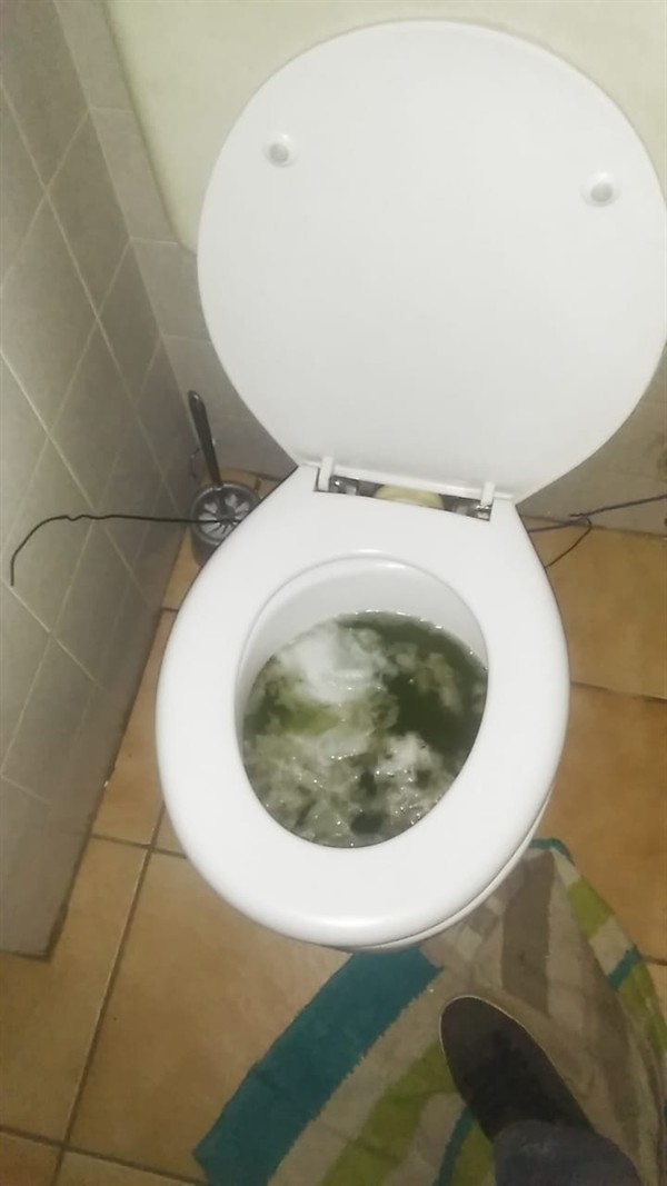 Hands performing repair on blocked toilet