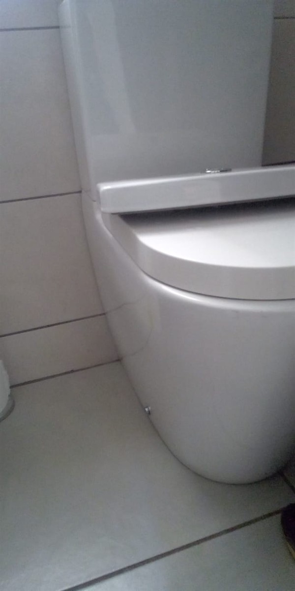 Complete clearing of toilet blockage