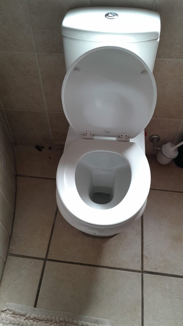 Clogged toilet with waste backing up