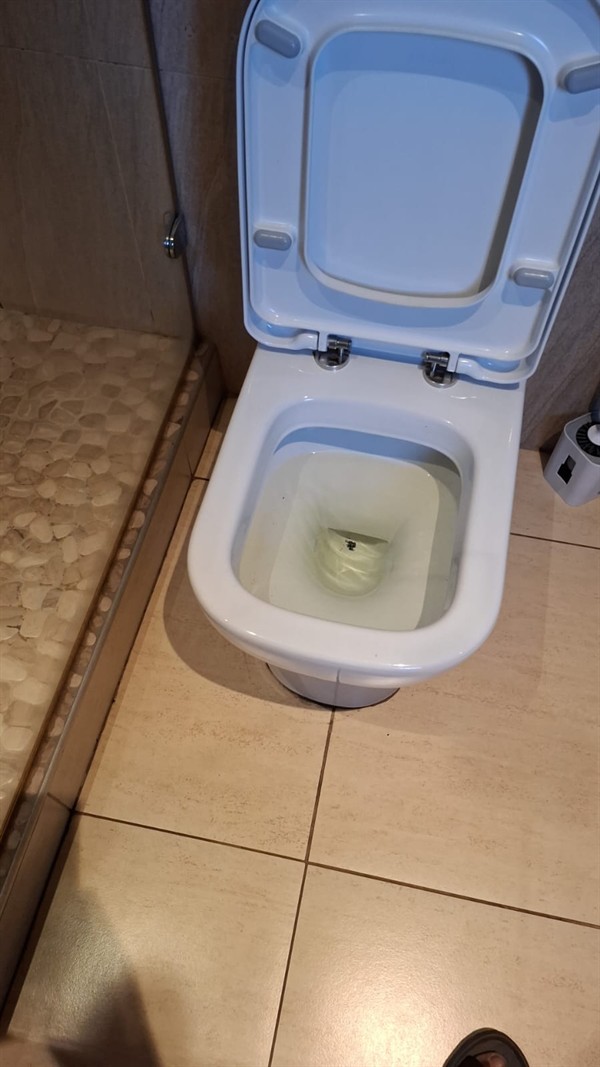 Blocked toilet fully resolved