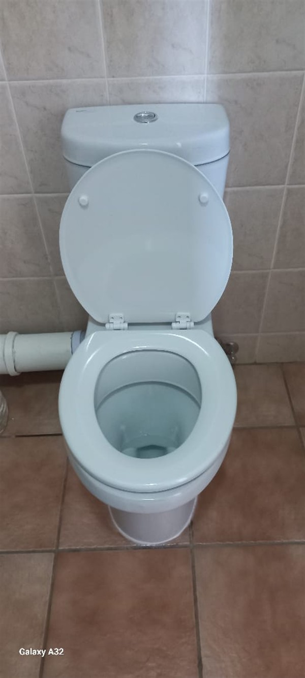 Slow flushing toilet with waste not going down