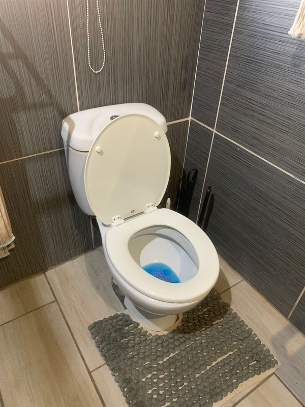 Toilet during full cleaning process