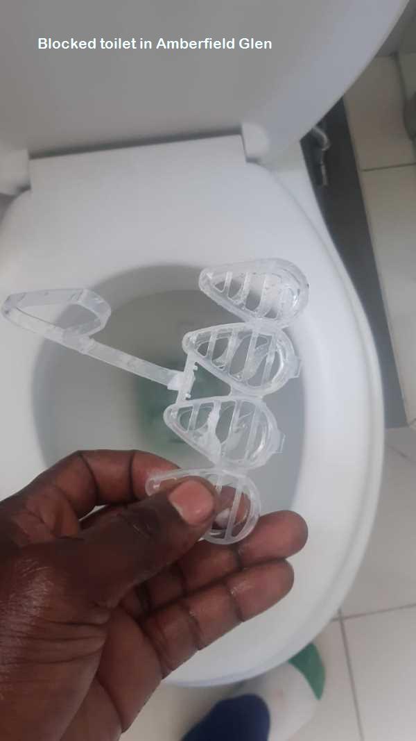 Amberfield Glen blocked toilet cleaners