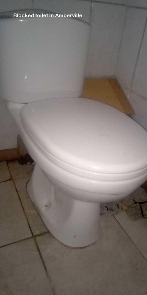 Amberville blocked toilet cleaners