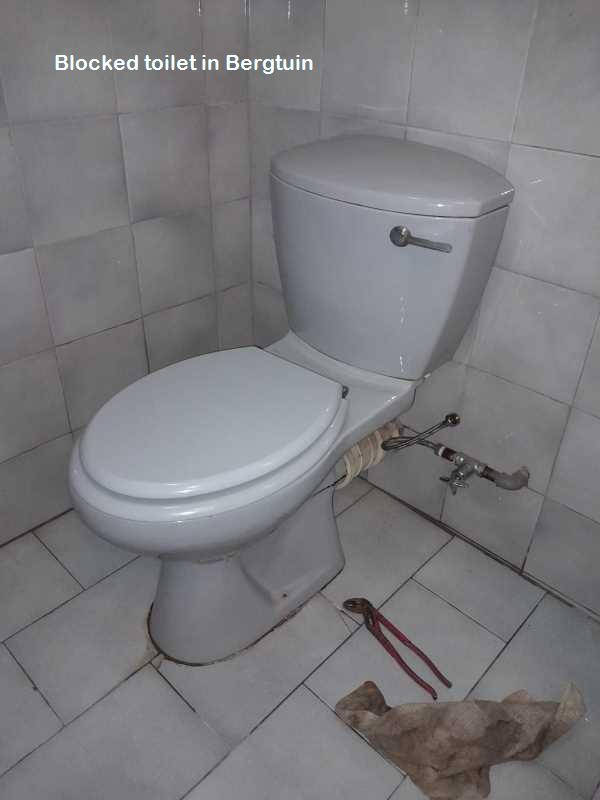 Blocked toilet in Bergtuin