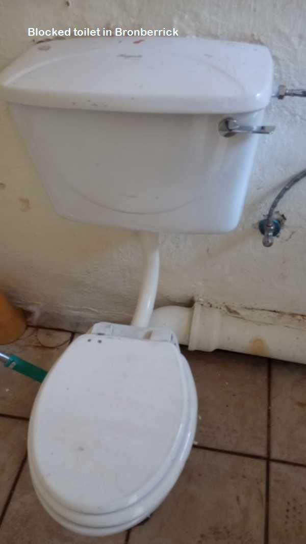 Bronberrick blocked toilet cleaners