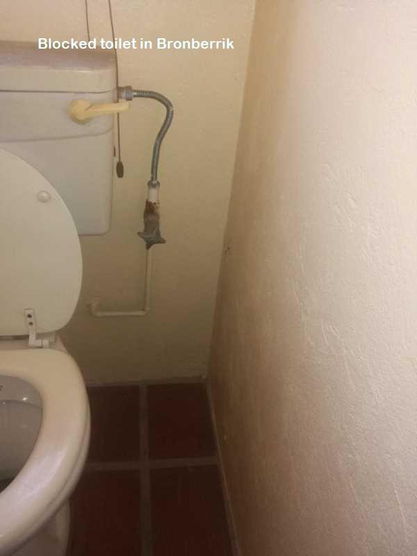 Bronberrik blocked toilet cleaners