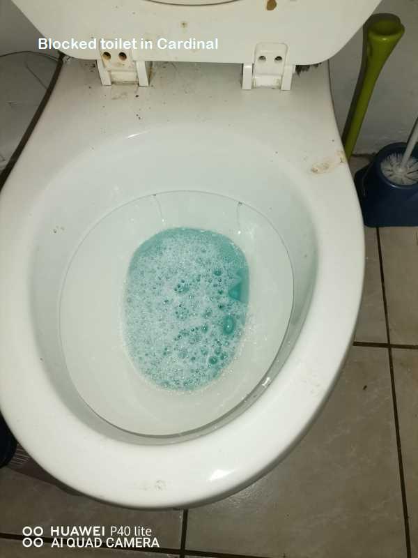 Cardinal blocked toilet cleaners