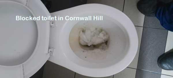 Cornwall Hill blocked toilet cleaners