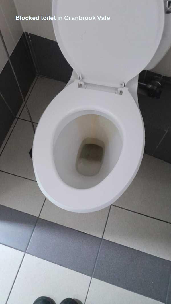Cranbrook Vale blocked toilet cleaners