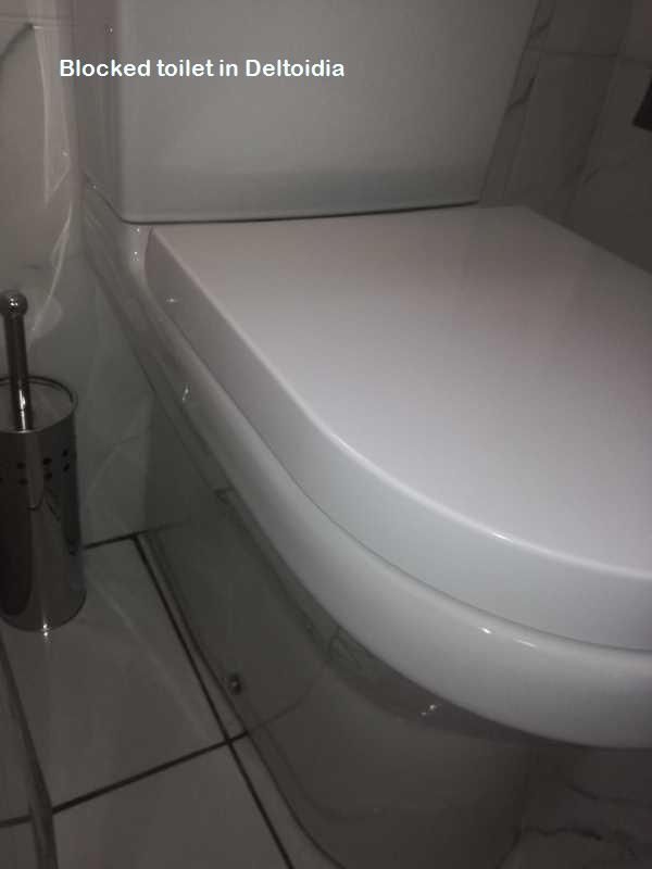 Deltoidia blocked toilet cleaners