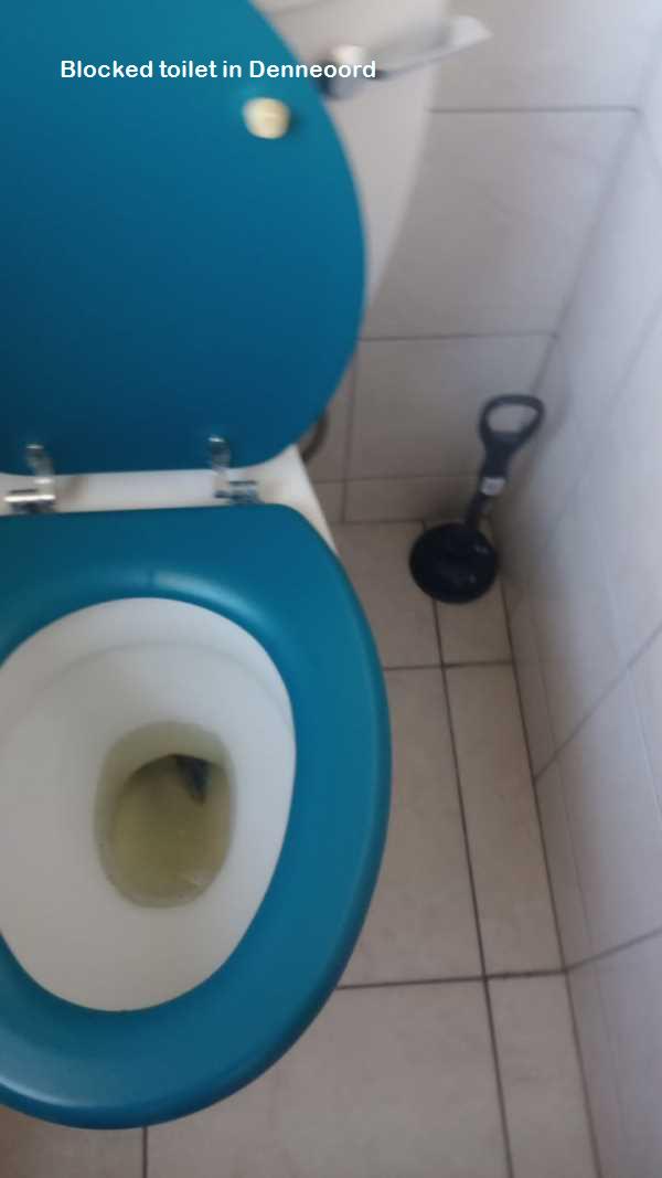 Blocked toilet in Denneoord