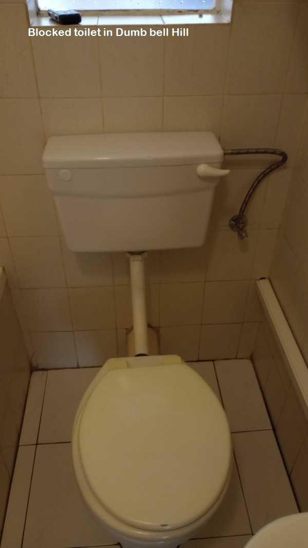 Dumb bell Hill blocked toilet cleaners