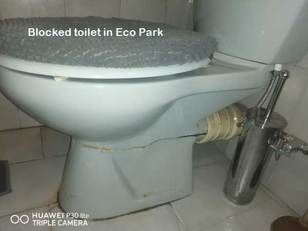 Eco Park blocked toilet cleaners