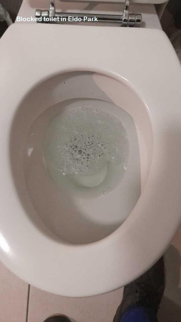 Eldo Park blocked toilet cleaners